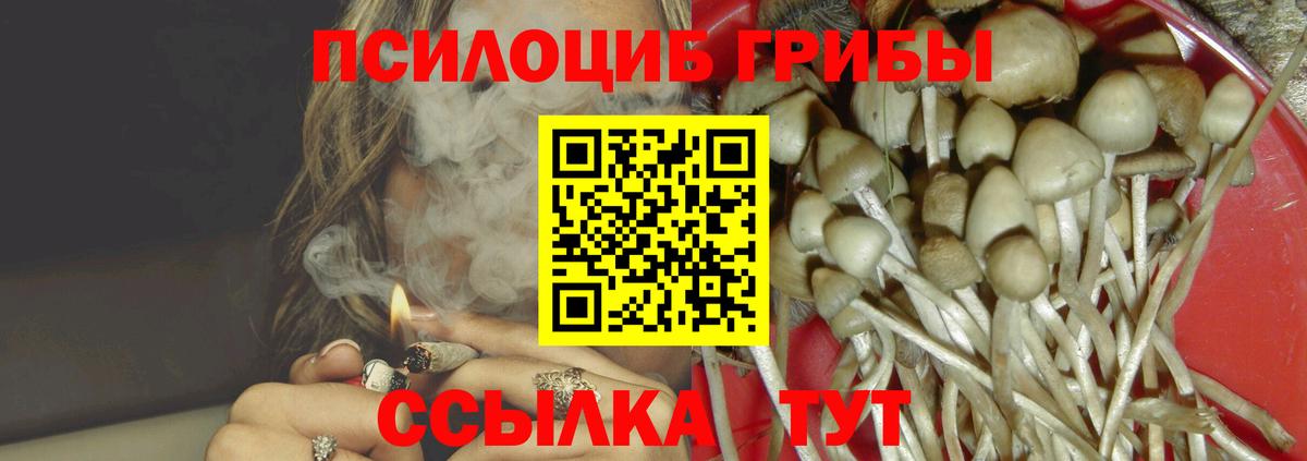 Псилоцибиновые грибы GOLDEN TEACHER Гусев